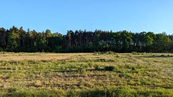 Działka budowlana Emilianów