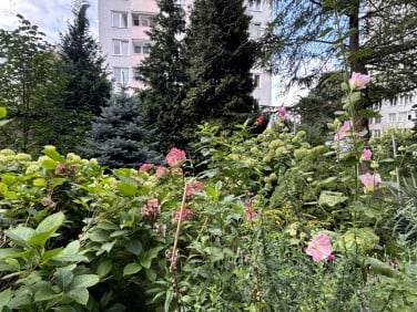 Mieszkanie Warszawa