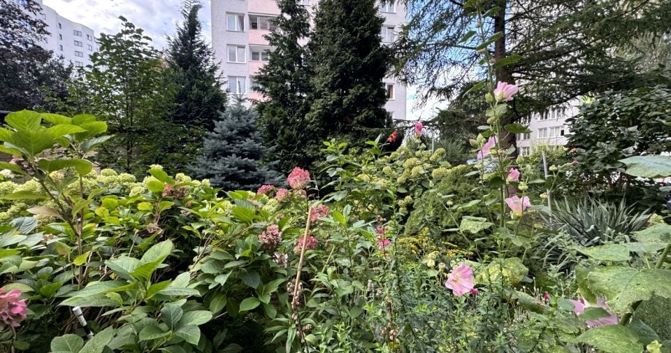 Mieszkanie Warszawa
