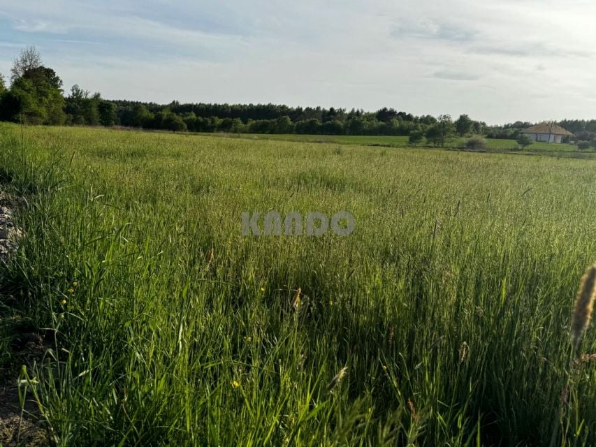Działka budowlana Rościsławice