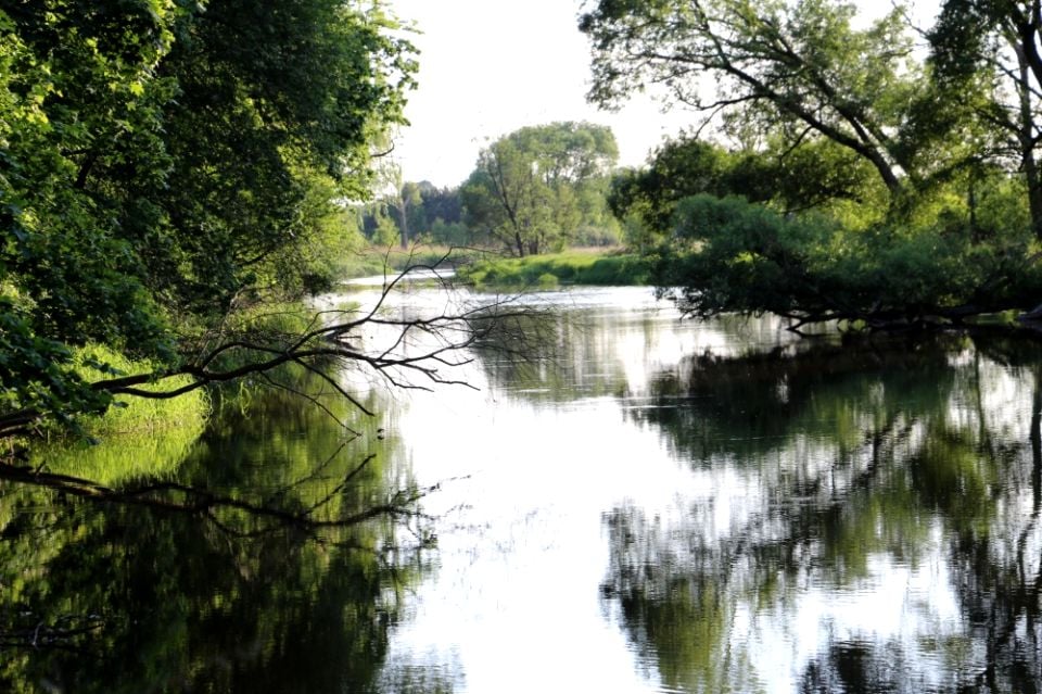 Działka budowlana Lipie