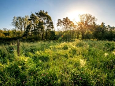 Działka budowlana Dębnik