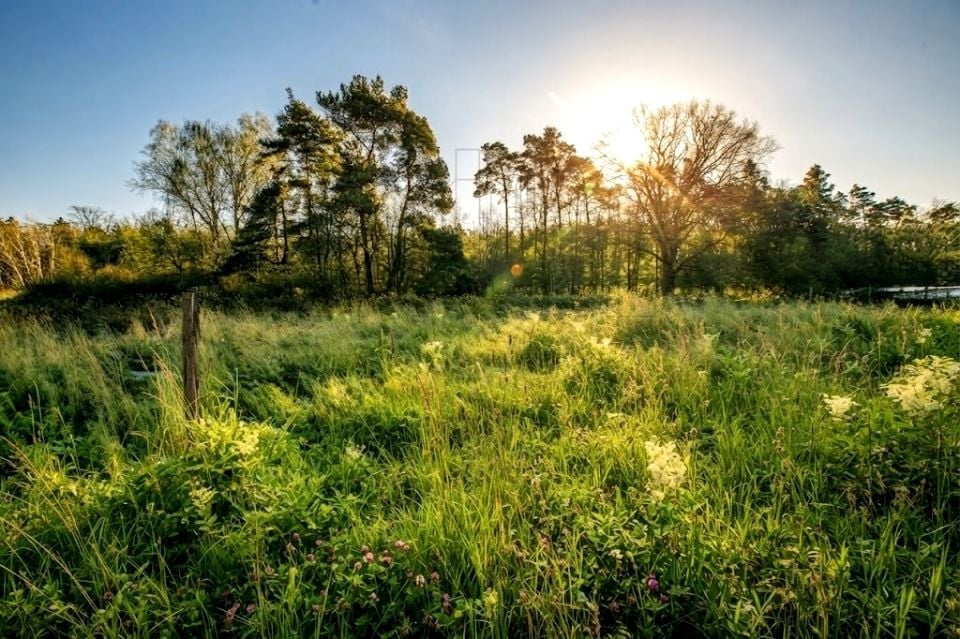 Działka budowlana Dębnik