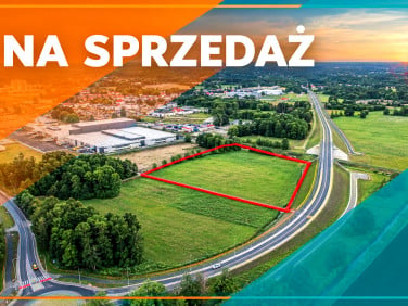Działka Sękowo