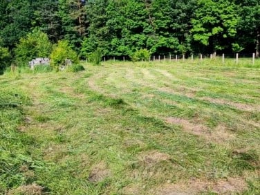 Działka budowlana Orzesze
