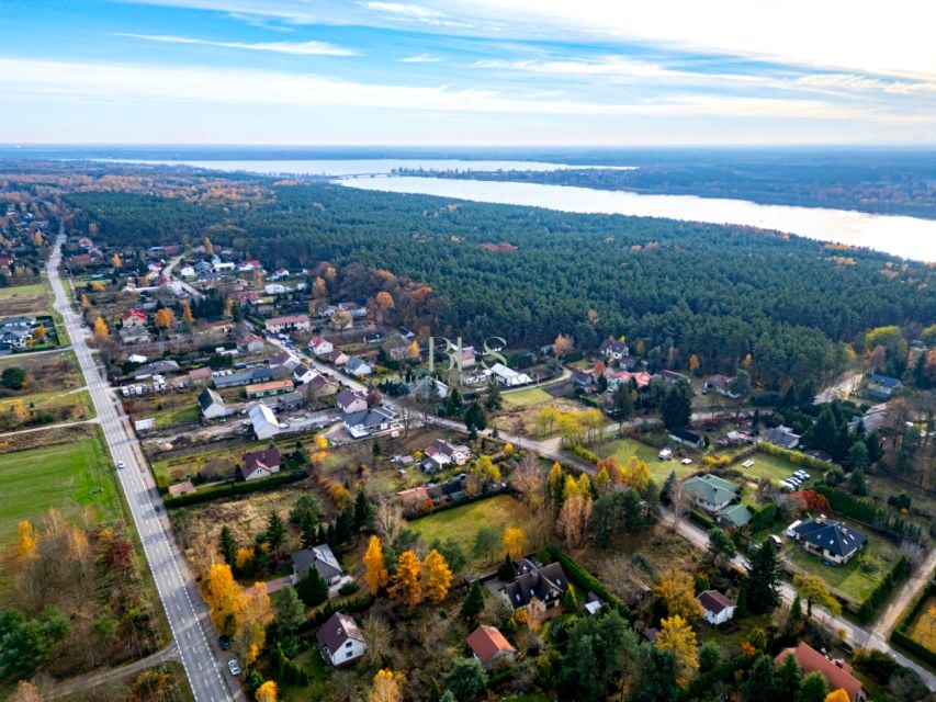 Dom