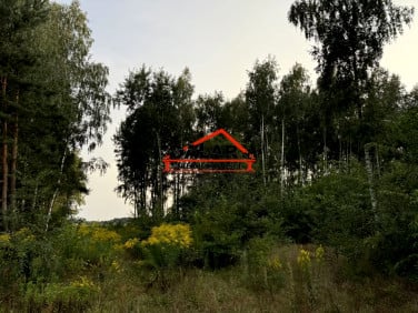 Działka budowlana Drwalew