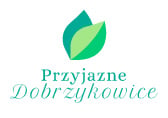 Przyjazne Dobrzykowice