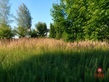 Działka Mława