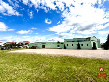 Lokal Ełk
