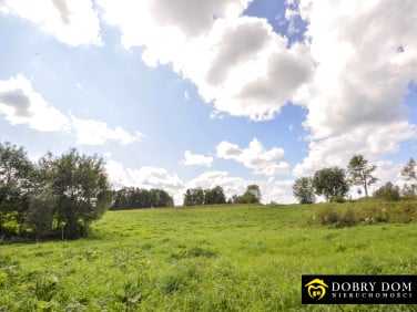 Dom Wiżajny