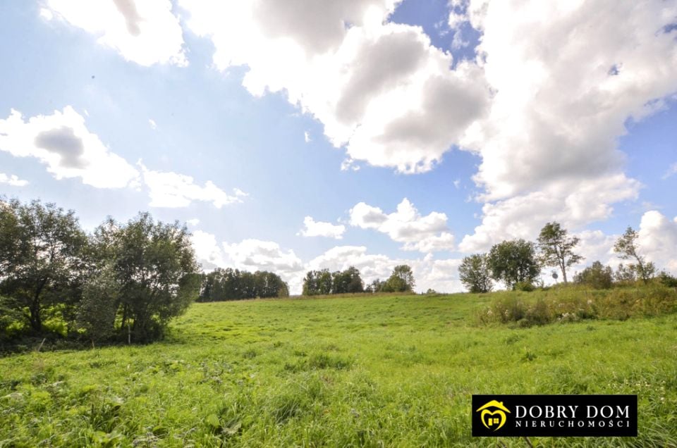 Dom Wiżajny