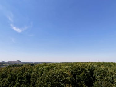 Dom Rybnik
