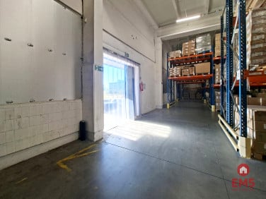 Lokal Kleosin