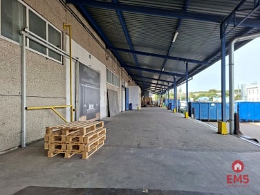 Lokal Kleosin