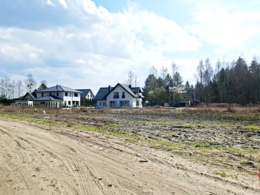 Działka Solniczki