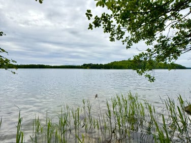 Działka Błaskowizna