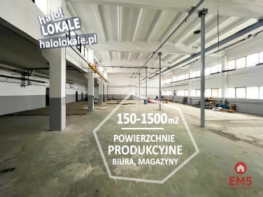 Lokal Wasilków