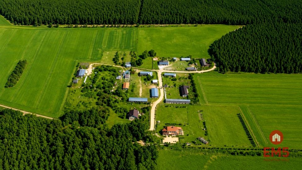 Zdjęcie 2