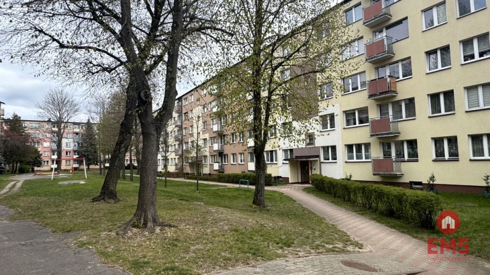 Zdjęcie 2