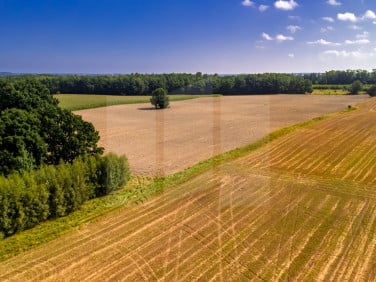 Działka przemysłowa Miszewko
