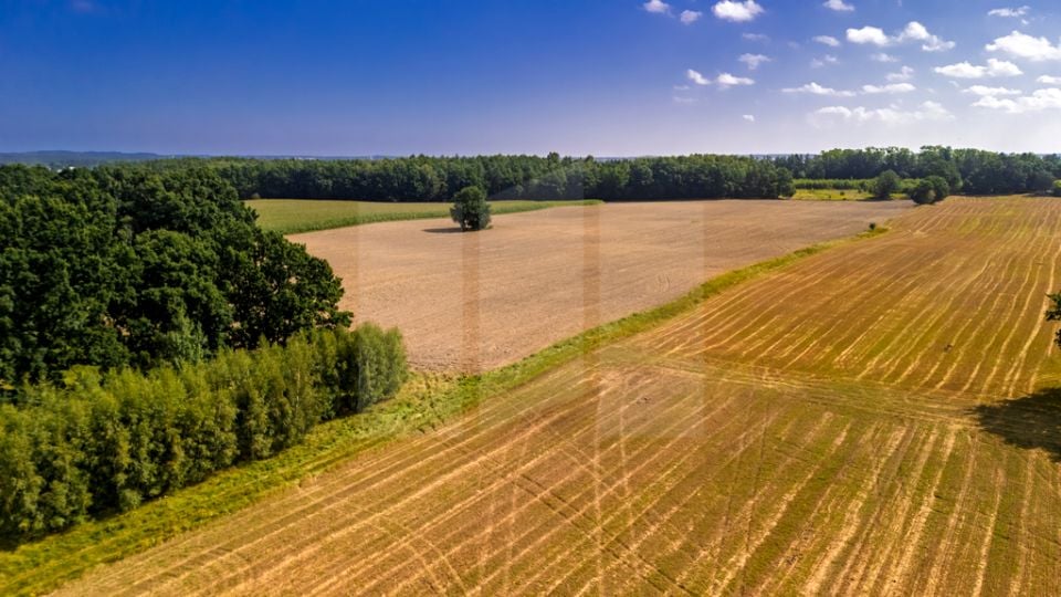 Działka przemysłowa Miszewko