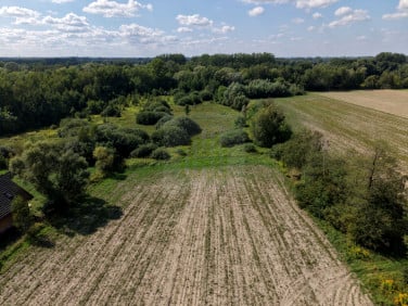 Działka inna Jaktorów-Kolonia