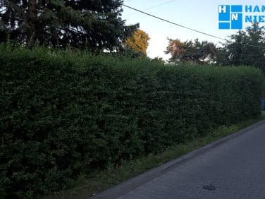 Działka PRUSZKÓW