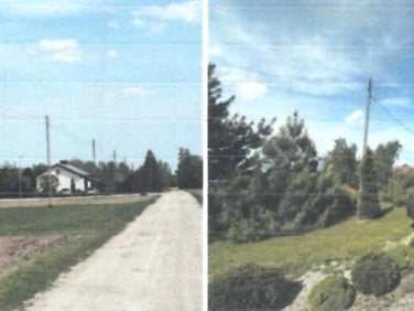 Dom Ćmiszew Rybnowski
