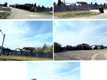 Dom Żdżarów