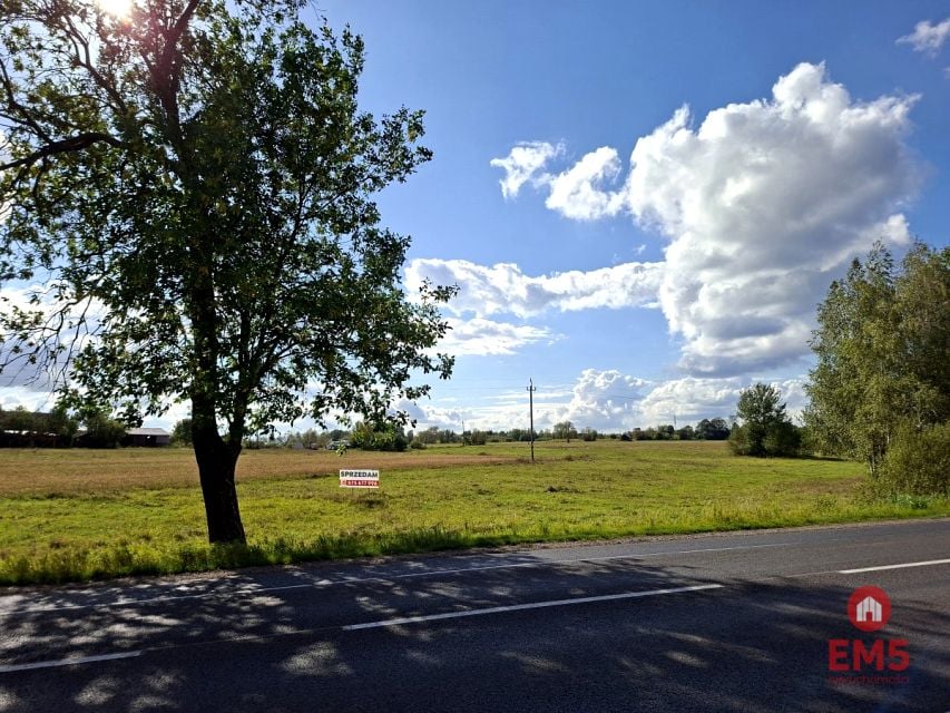 Działka Kuriany
