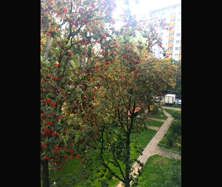 Zdjęcie 2