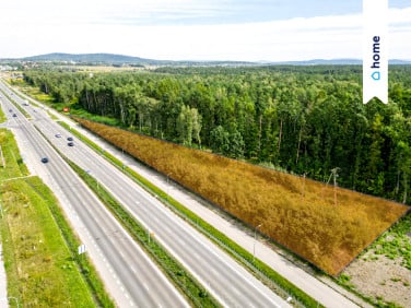 Działka usługowa Kielce