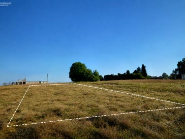 Działka budowlana Wieszowa