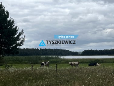 Działka rekreacyjna Sycowa Huta