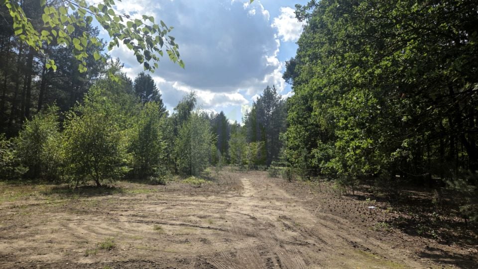 Zdjęcie 2