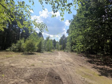 Działka inna Budy Michałowskie