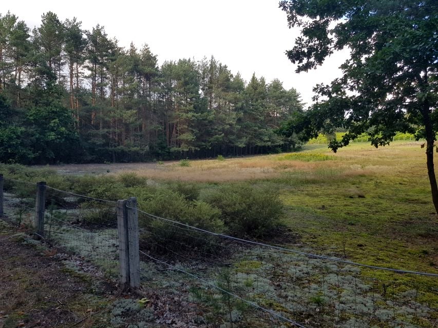 Działka budowlano-rolna Ponurzyca