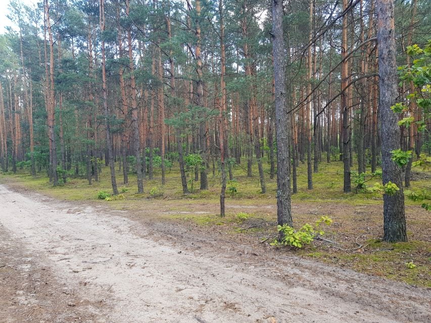 Działka leśna Ponurzyca sprzedam
