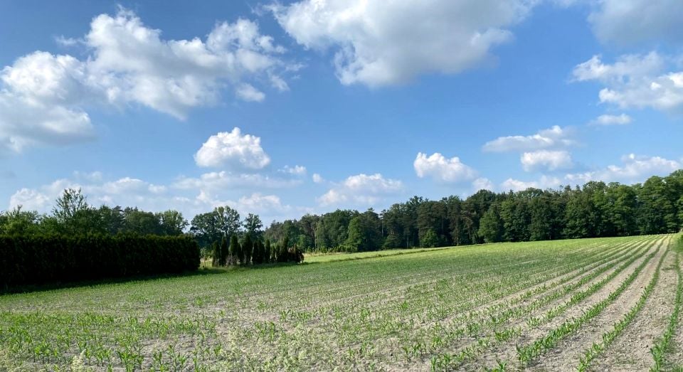 Działka budowlana Żory