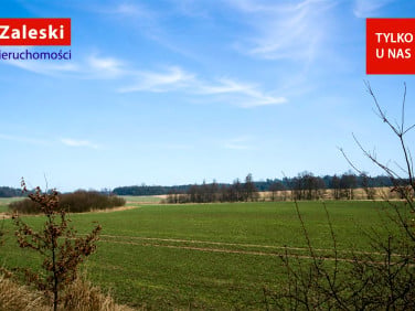 Działka rolna Henrykowo sprzedam