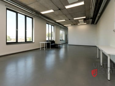 Lokal Kraków