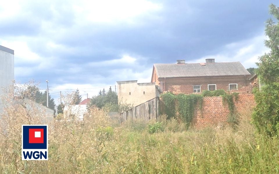 Zdjęcie 3