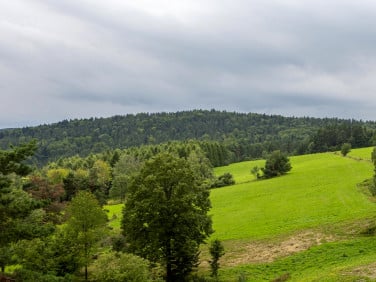 Działka budowlana Kielczawa