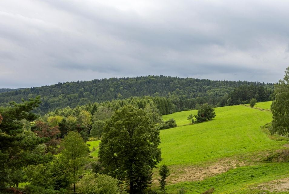 Działka budowlana Kielczawa