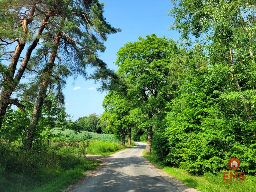 Zdjęcie 3