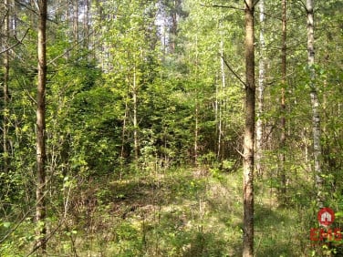 Działka Jankowo-Młodzianowo
