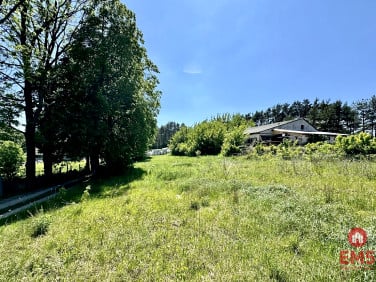 Działka Kuryły