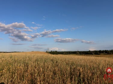 Działka Okuniowiec