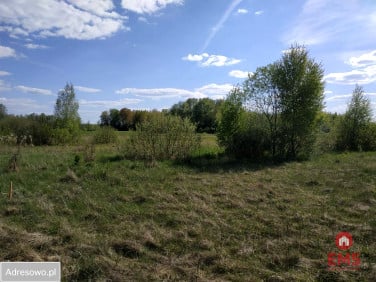 Działka Olmonty